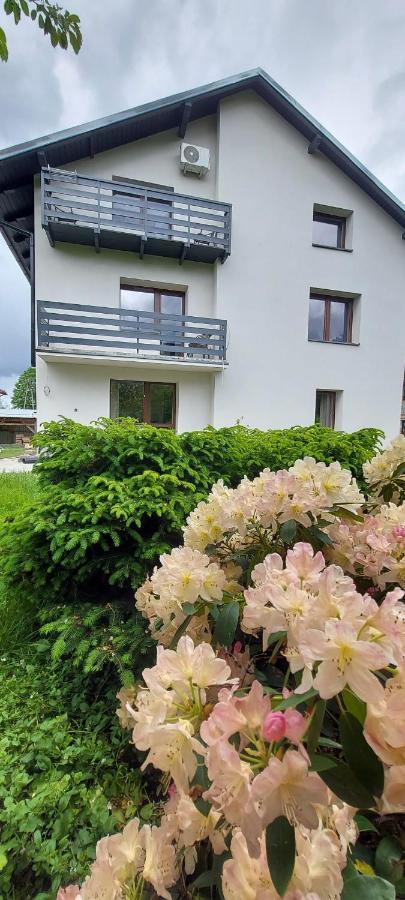 Apartamenty Montania Wisła Extérieur photo