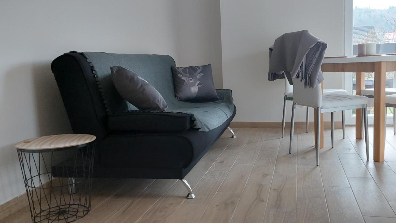 Apartamenty Montania Wisła Extérieur photo