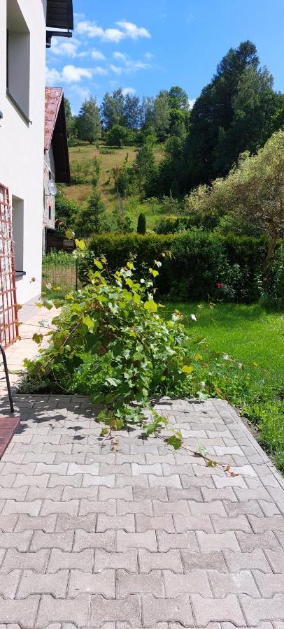 Apartamenty Montania Wisła Extérieur photo