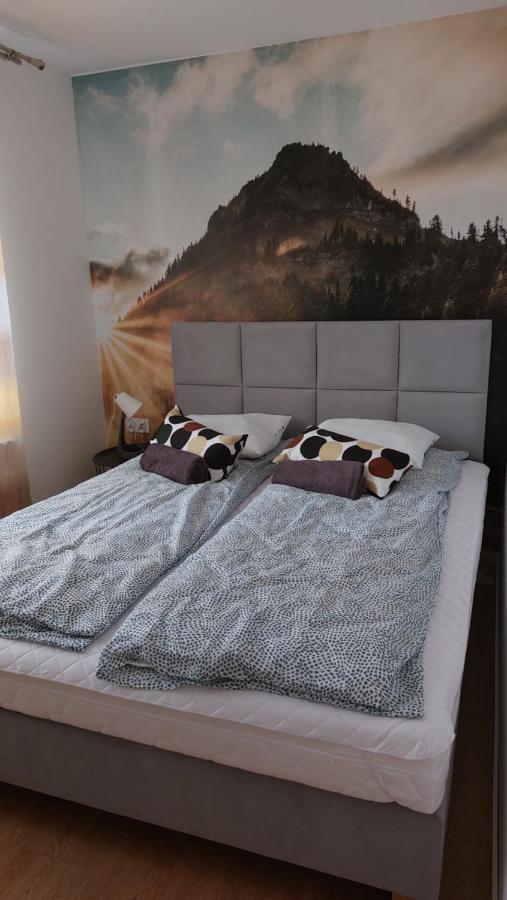 Apartamenty Montania Wisła Extérieur photo